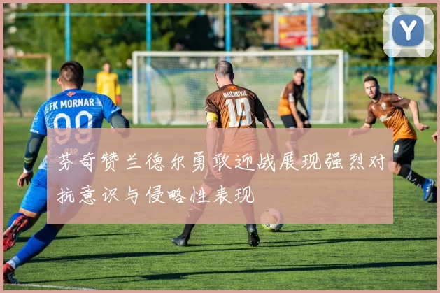 芬奇赞兰德尔勇敢迎战展现强烈对抗意识与侵略性表现
