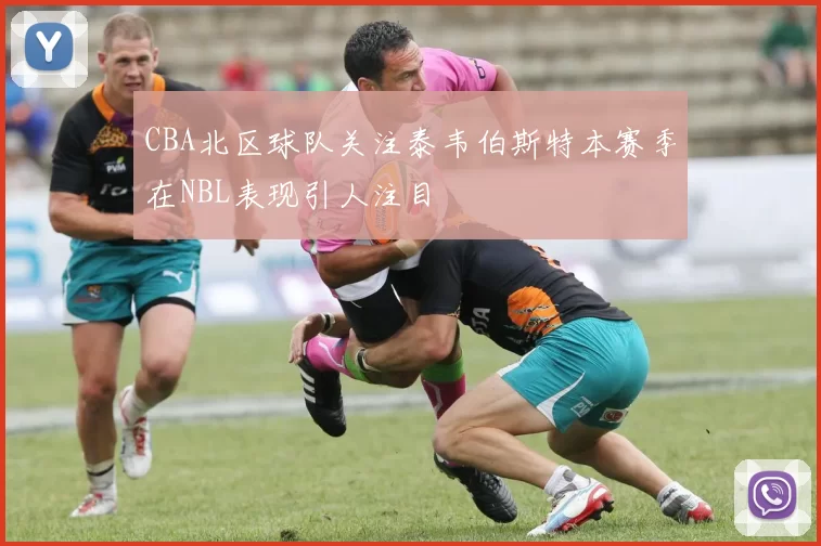 CBA北区球队关注泰韦伯斯特本赛季在NBL表现引人注目